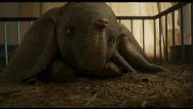 小飞象哪年上映的,上映18小时电影票房