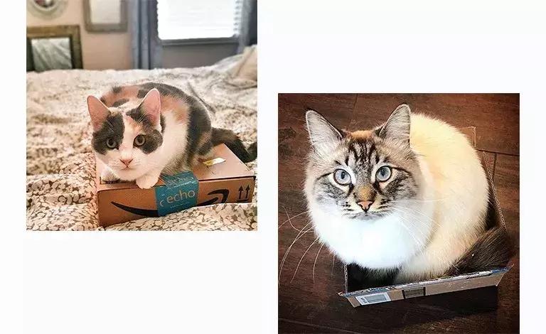 亚马逊fba收费如何计算,亚马逊fba配送费最新计算方法