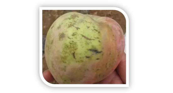 宝宝皴脸了抹什么面霜,婴儿防皴面霜0-3岁秋冬补水保湿