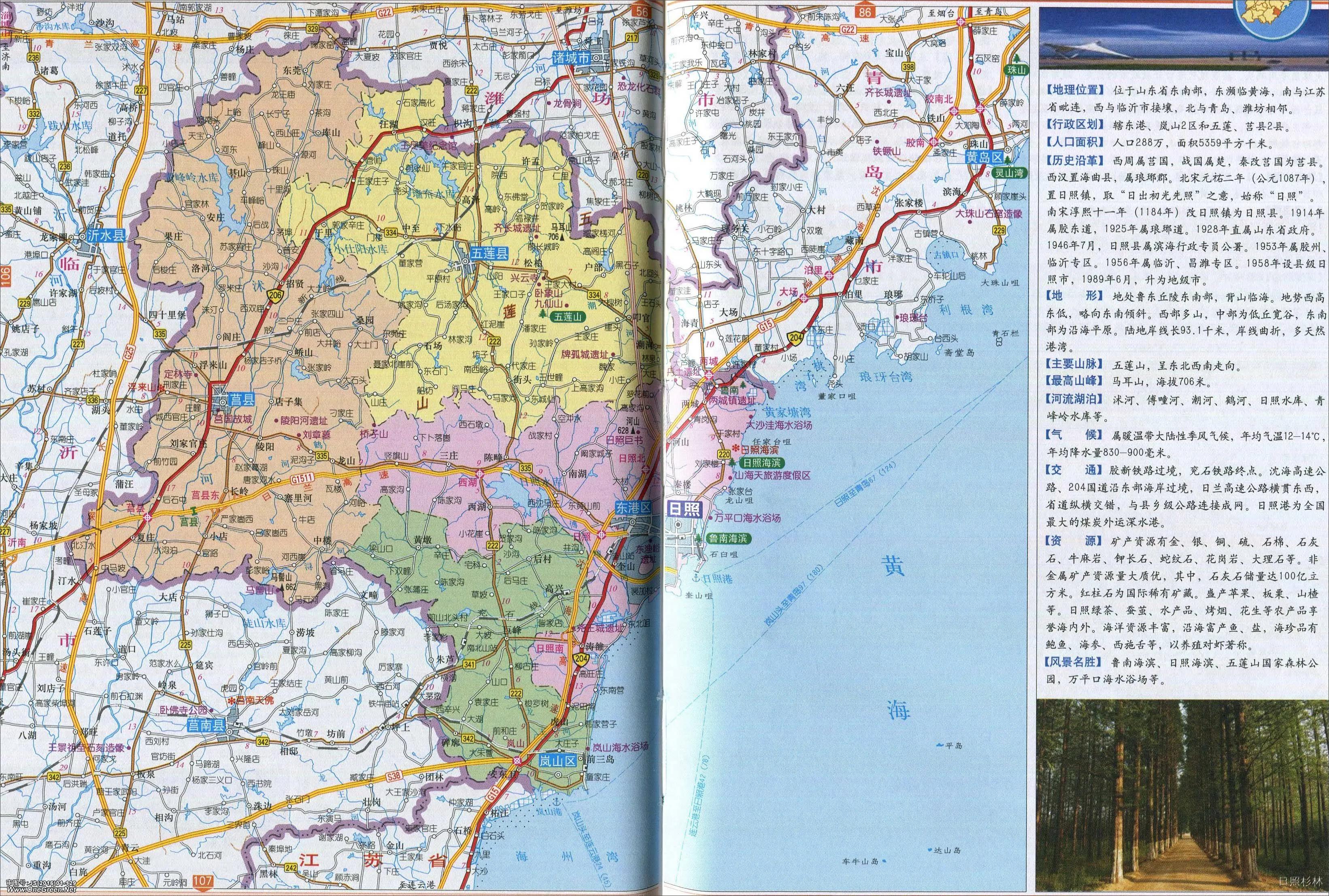 山东日照好的茶叶品种是什么,山东有名的茶叶是什么茶