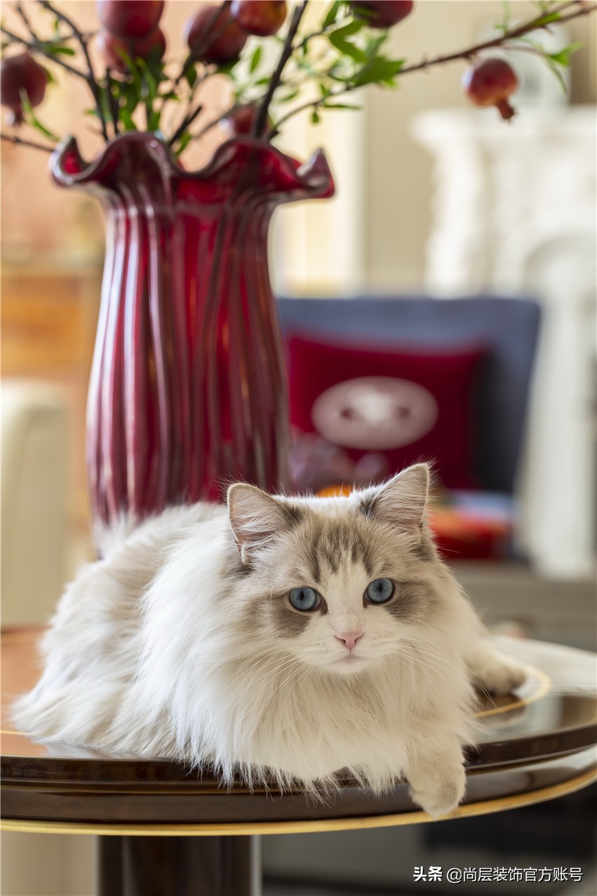 十大经典法式别墅装修,谁说装别墅不能省钱