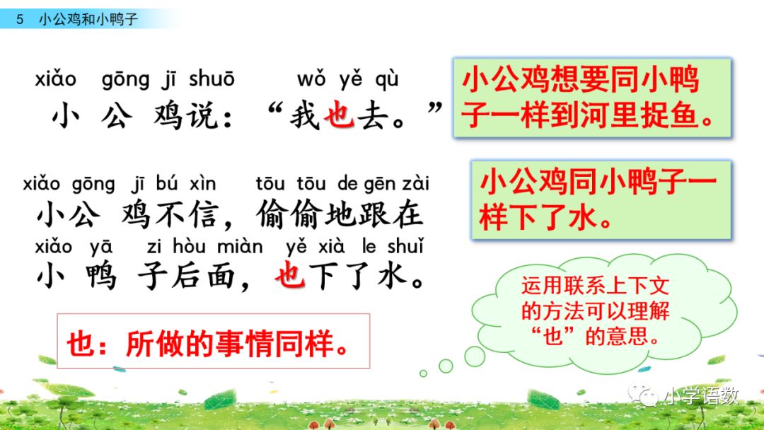 小公鸡和小鸭子一年级下册视频,一年级下语文小公鸡和小鸭子讲解