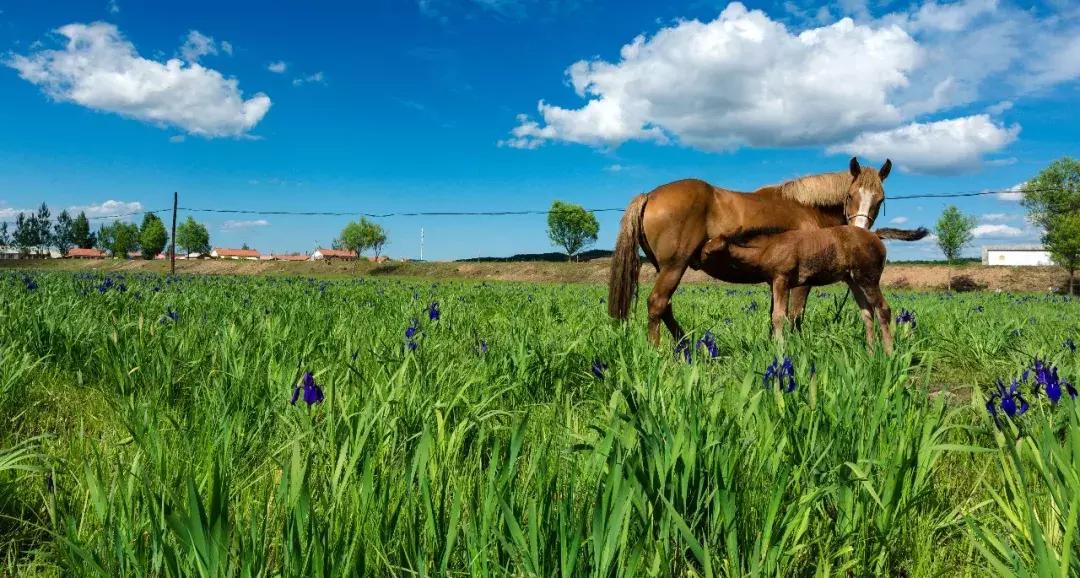 敦化十一旅游注意事项,敦化十一自驾游最值得去的地方