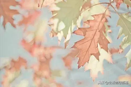 适合个性签名的简短句子,适合做个性签名的句子独特有风格