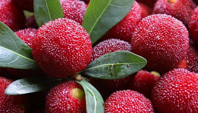 杨梅的正确吃法和做法,杨梅好吃的做法