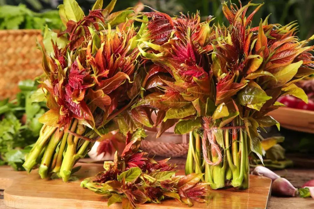 诗人笔下的香椿,描写香椿的散文