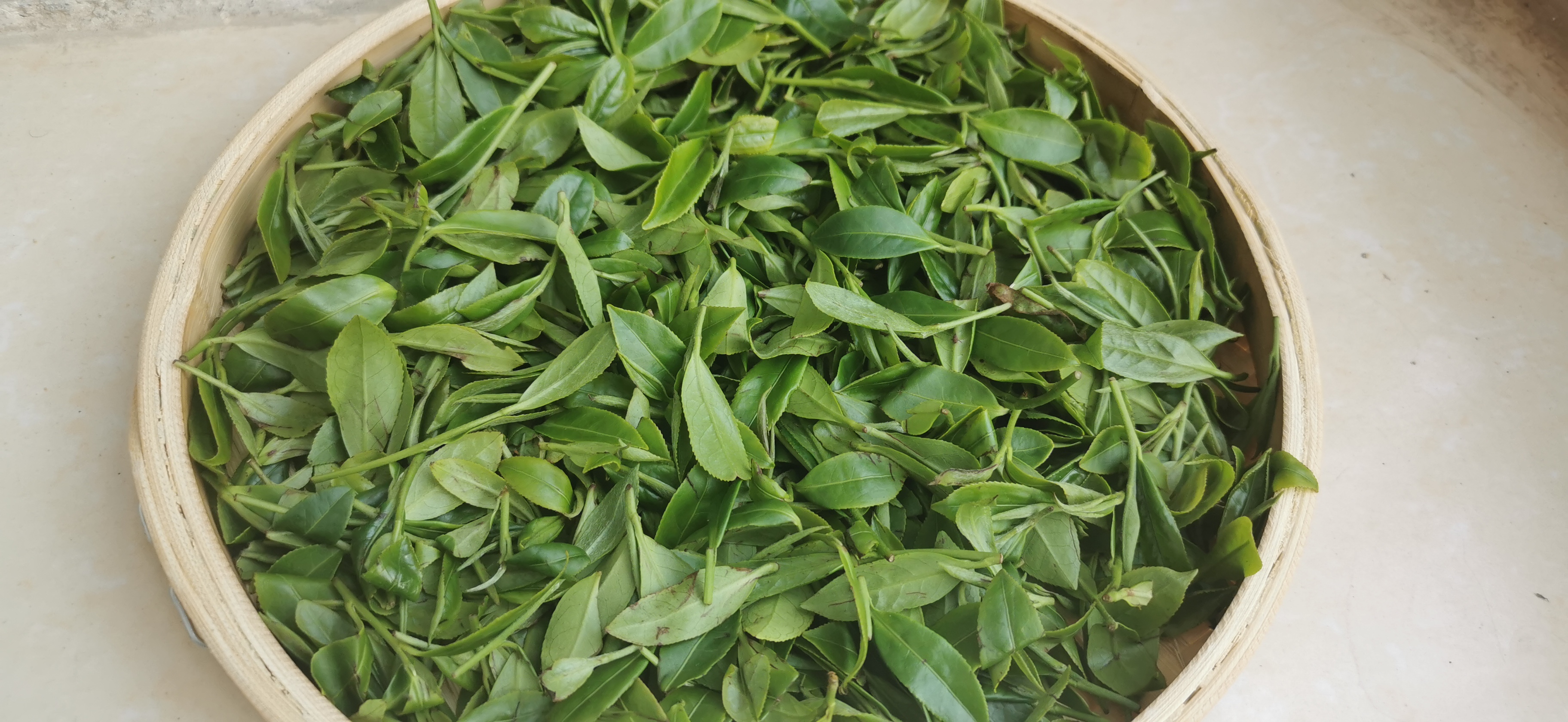 我眼中的专业与别人眼中的专业,我眼中的茶