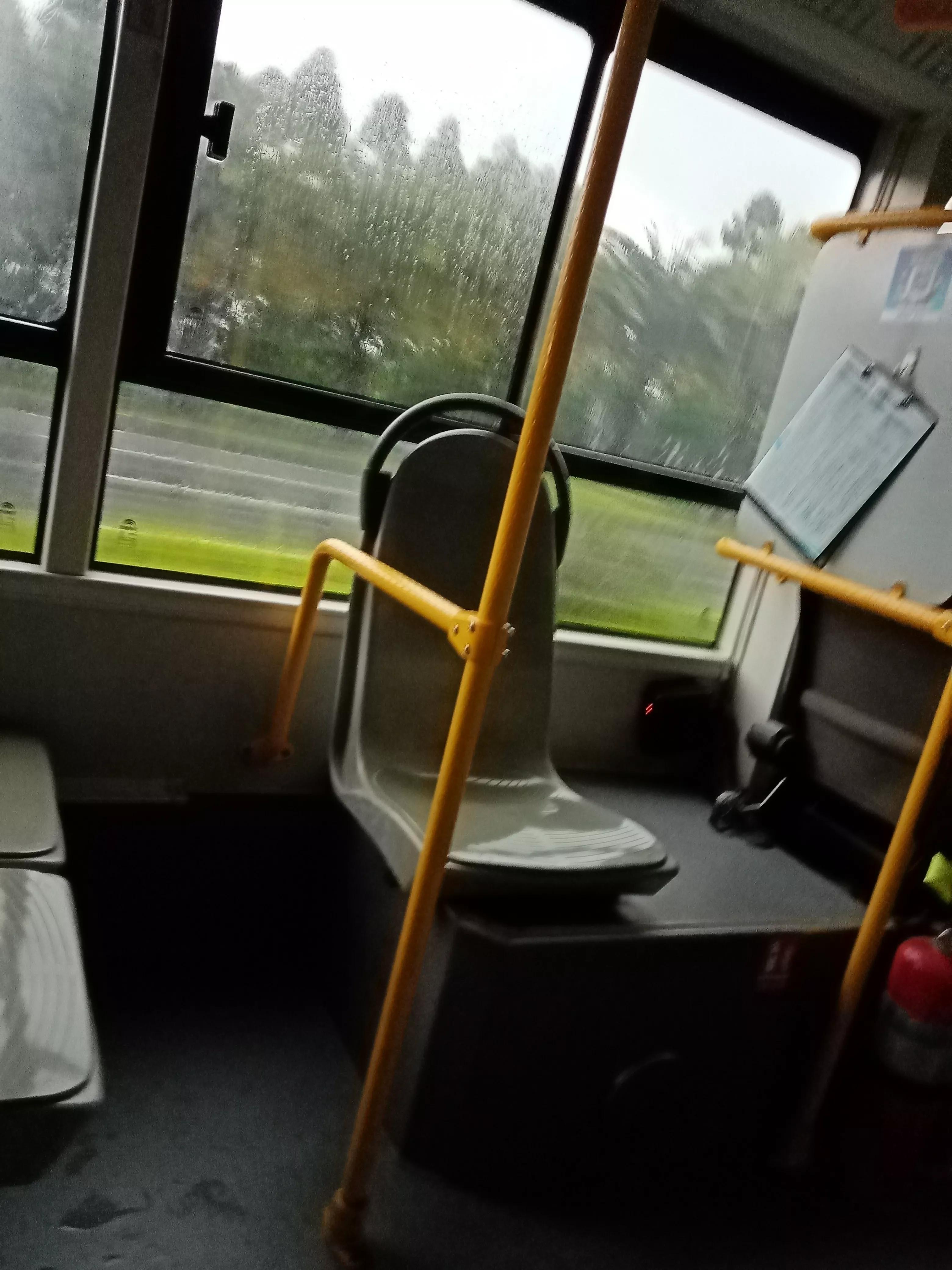 东莞市石龙镇第一大镇,东莞市石龙镇辖区图