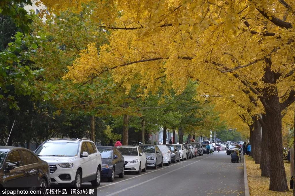 打卡北京十大古迹,打卡北京100个景点