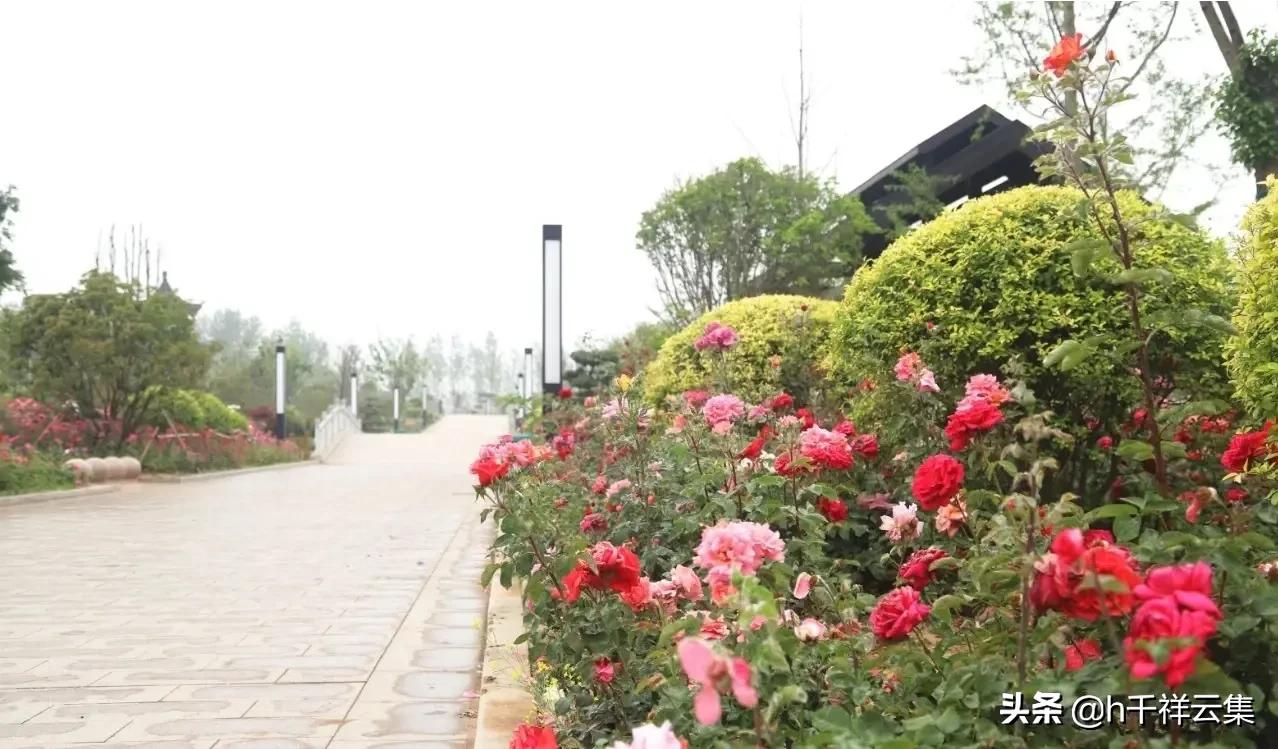 我的家乡商丘夏邑,夏邑又多一处美景有山有水还有花