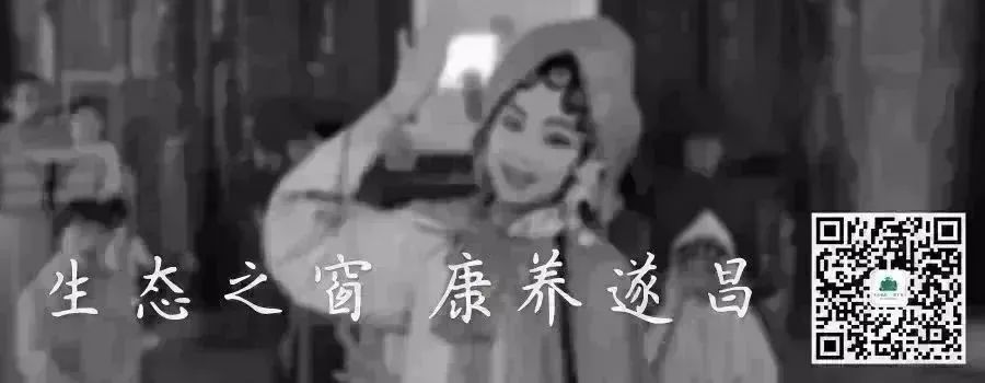 味道研究所,味道研究所上海