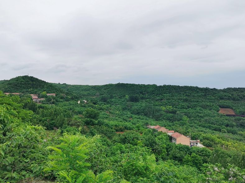 西安洪庆焚书坑儒,洪庆山焚书坑儒