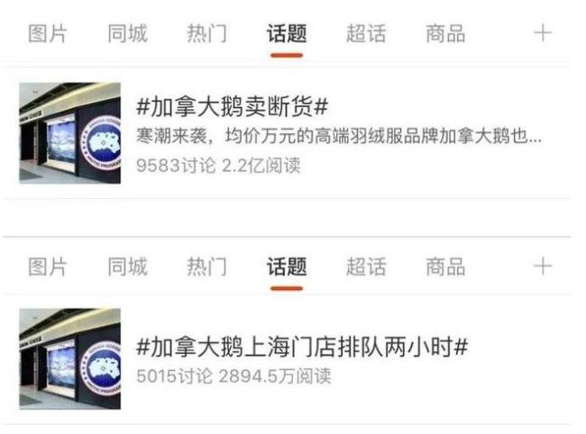 加拿大鹅烂大街,加拿大鹅排队