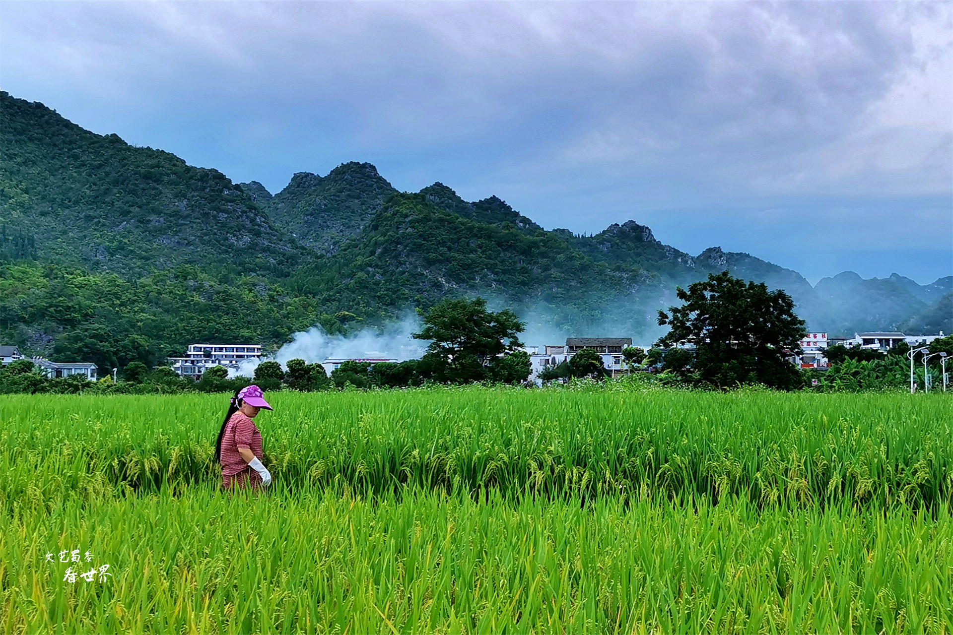 暑期旅游凉爽的地方推荐,暑假旅游推荐凉快地方5人
