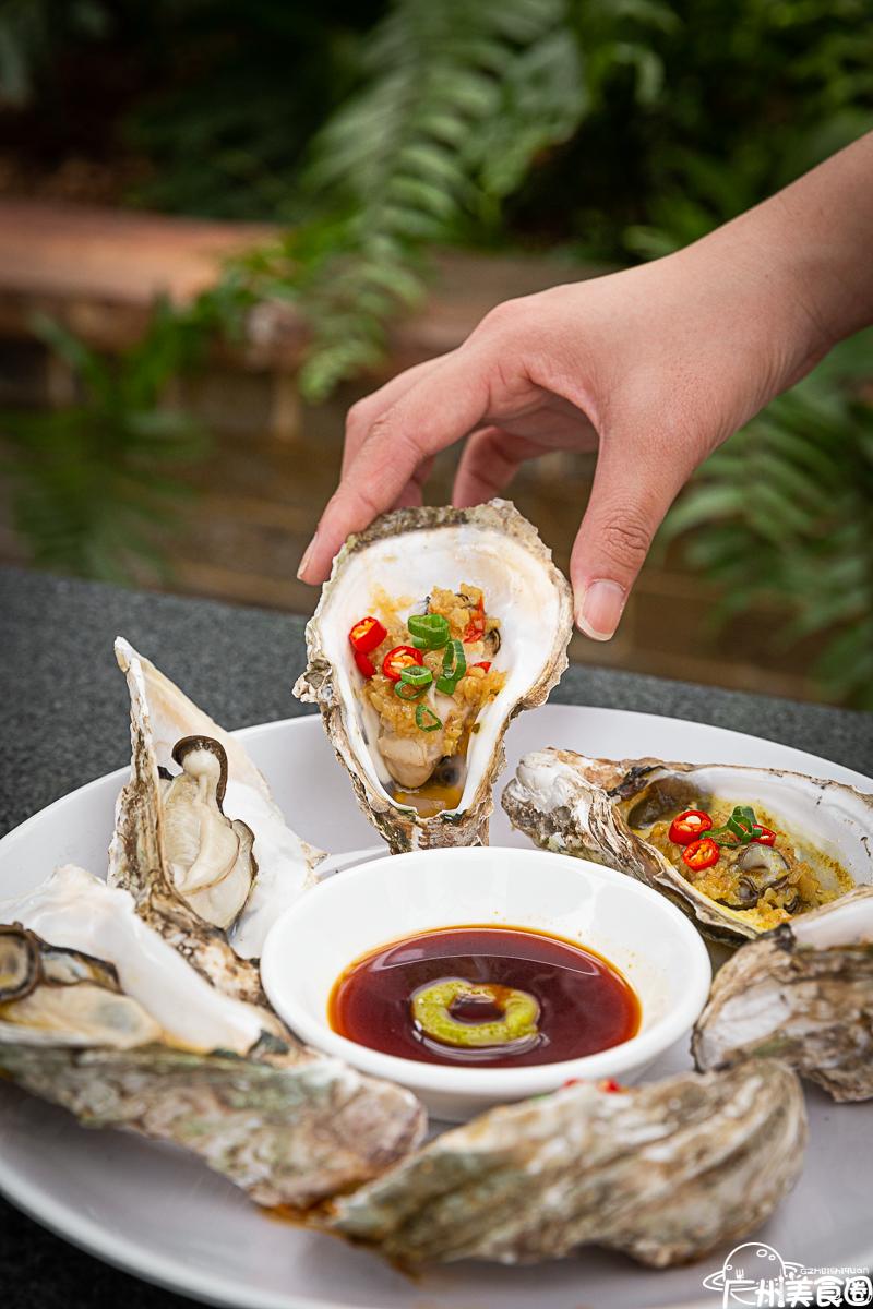 顺德首个集装箱「凤旨宵HEA」5.1揭幕！来凤城食都打卡100款美食