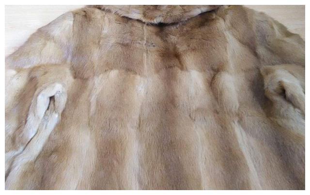 黄鼠狼全身是宝为何无人养殖,黄鼠狼浑身是宝为什么没人养殖