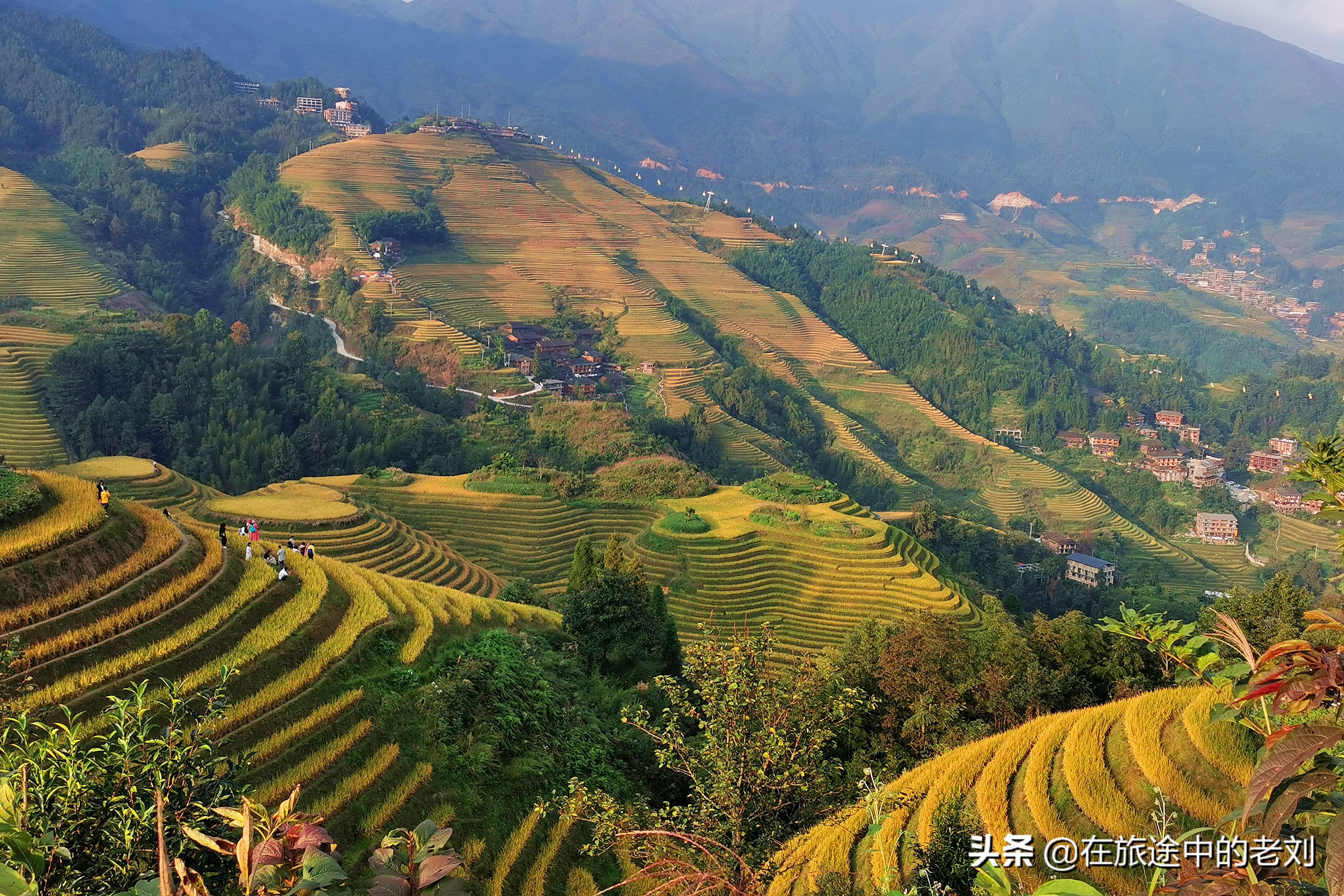 远赴龙脊大寨梯田，追逐今年最后的金黄——桂林七天游1