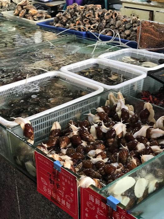 秦皇岛南戴河吃海鲜哪里便宜,秦皇岛海鲜哪里最好最实惠