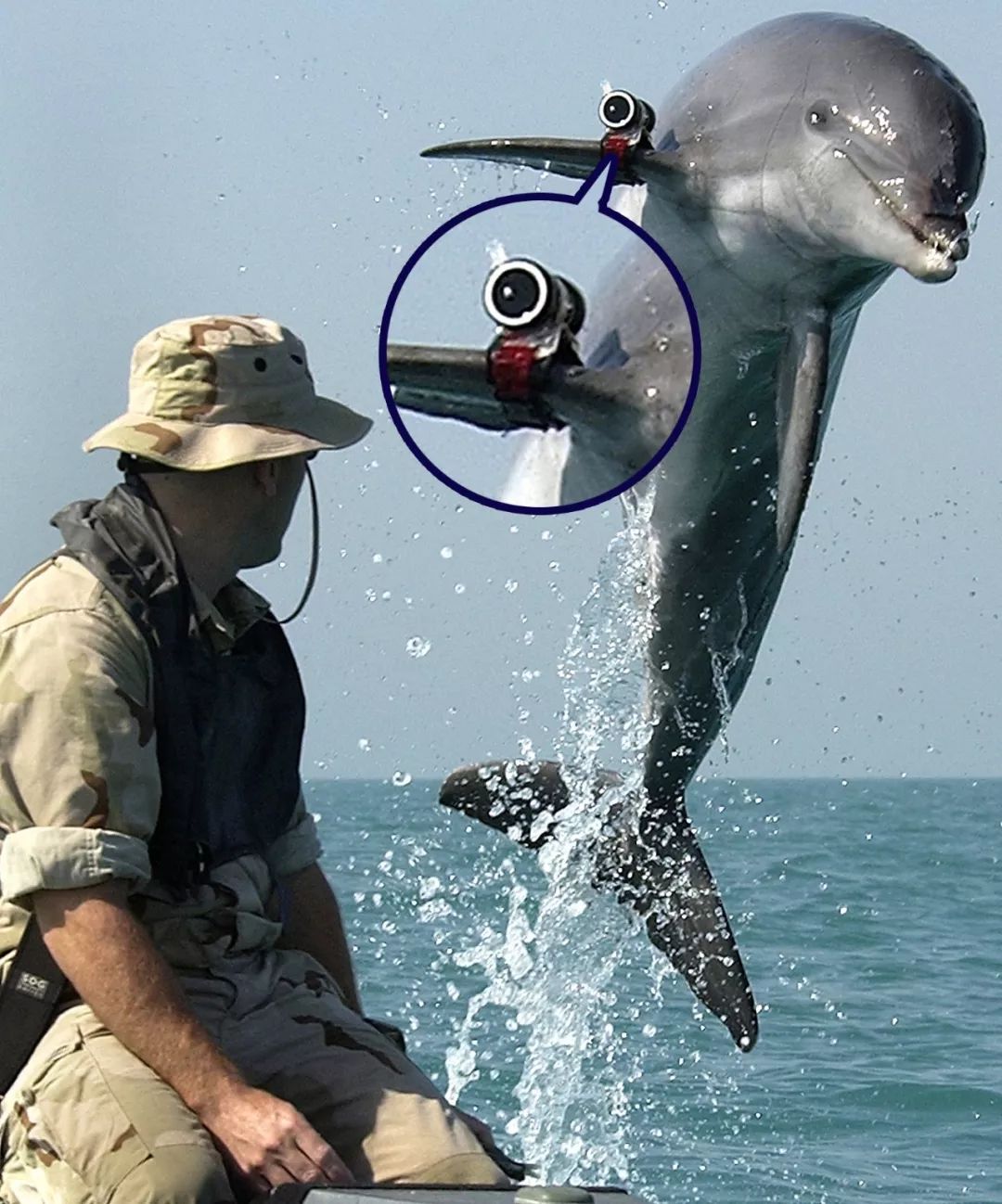 各国秘密间谍行动,各国间谍战有多凶险