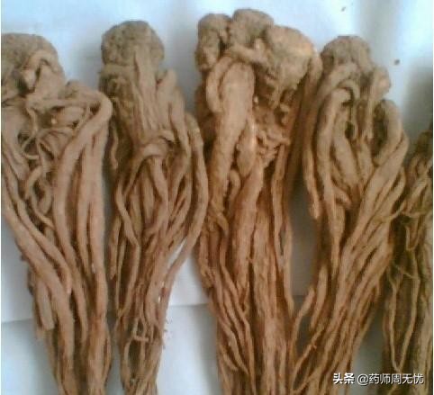 话说中药当归,白话中药400味讲解