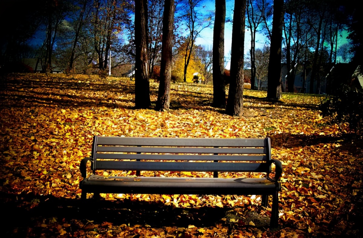 教育绝不能高高在上,不要听信所谓的教育专家的课