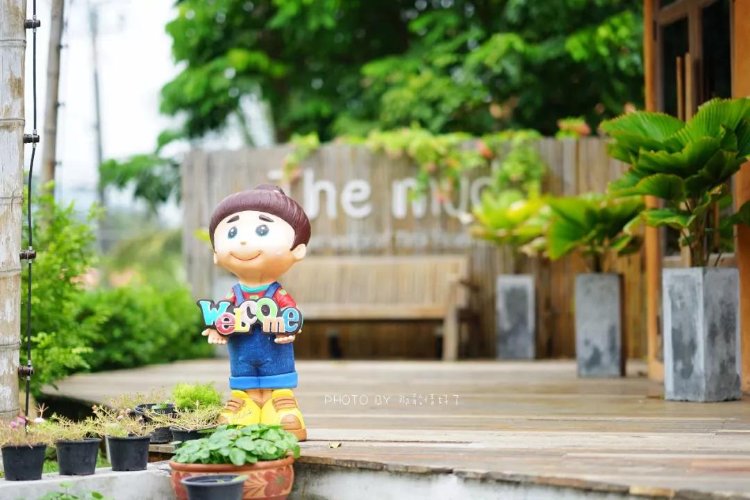 美国艺术家老夫妇定居苏梅岛十年，教游客画垃圾桶，唤醒环保意识