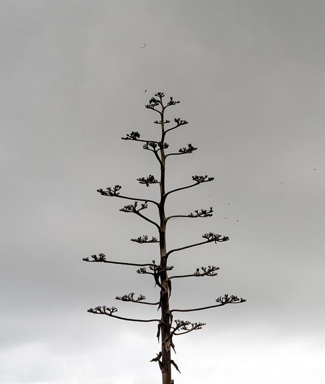 西班牙巴塞罗那之行,西班牙巴塞罗那时尚之旅