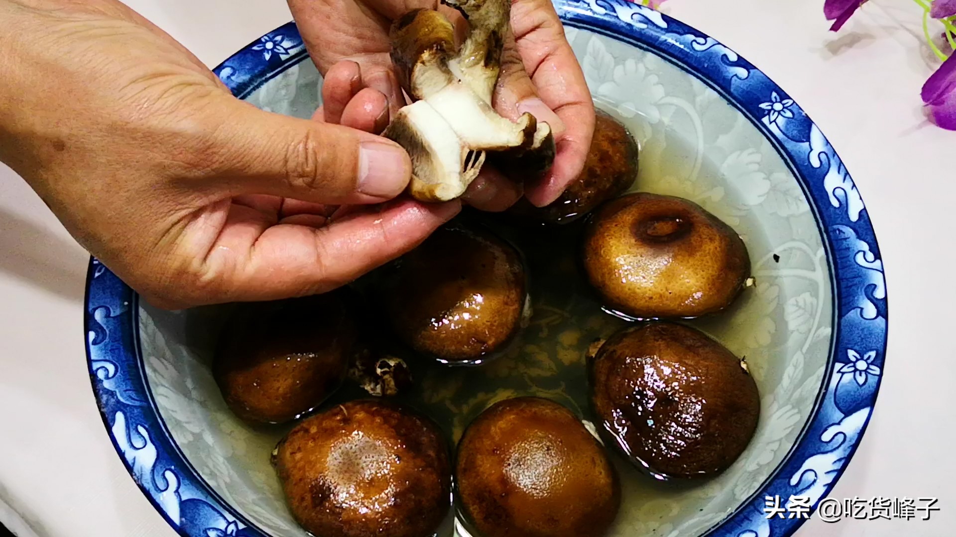 蔬菜起虫子有什么方法无公害驱虫,如何洗青菜才能将菜虫洗出来