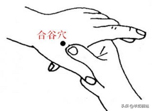 人体十大养生穴位，常按想生病都难