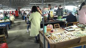 和田玉水中采直播,和田玉清水直播