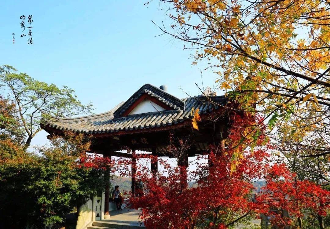 初春南京一日游攻略导图,南京秋景一日游的攻略