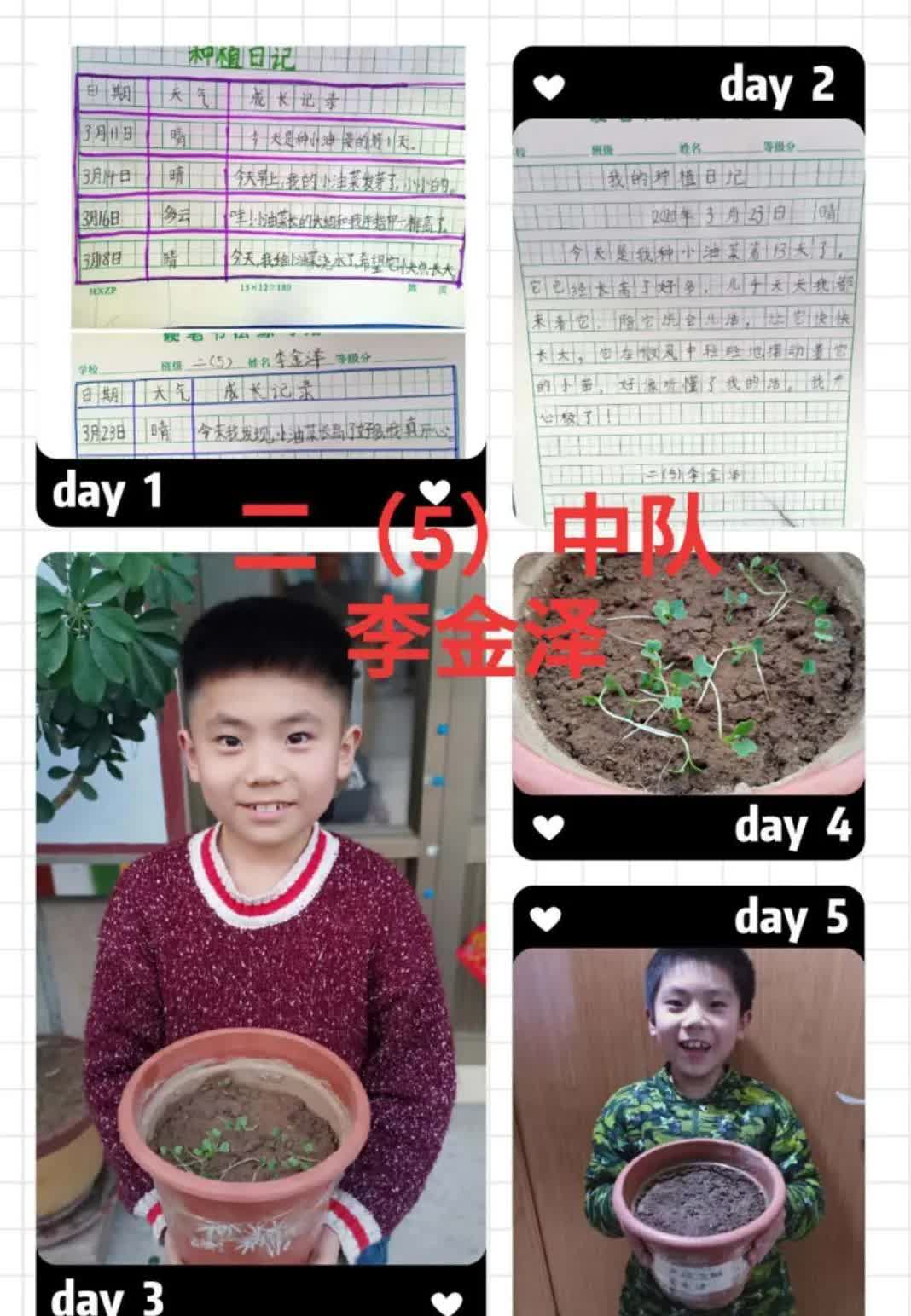 研学实践劳动教育,小学劳动教育研学活动是什么