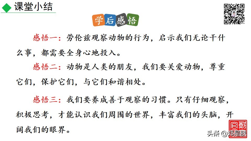 七上人教版第十七课动物笑谈课件,七上语文动物笑谈