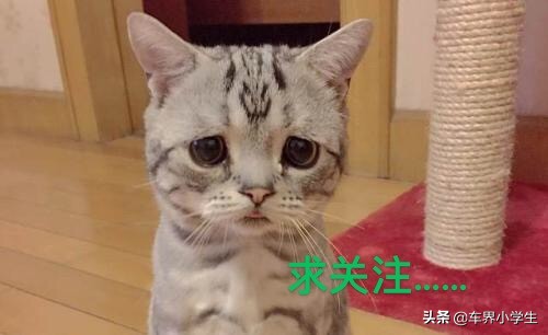 一款适合年轻人开的轿跑大众cc,19年大众凌渡230风尚版值得入手