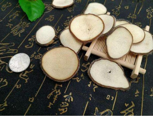 血茸和普通鹿茸哪种好,鹿茸片怎么挑选挑大的还是小的好