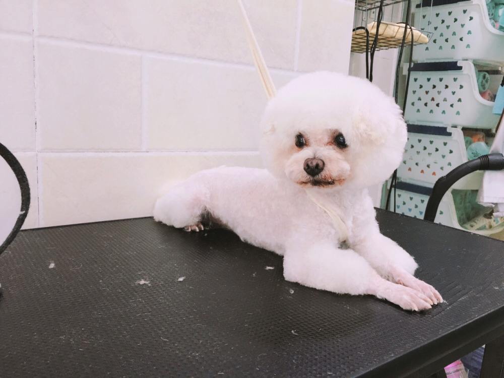 适合小投资不用自己做的项目,适合一个人开店的小投资项目