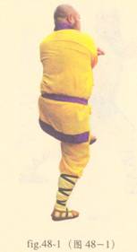 少林心意门拳视频教程,少林长护心意拳图解