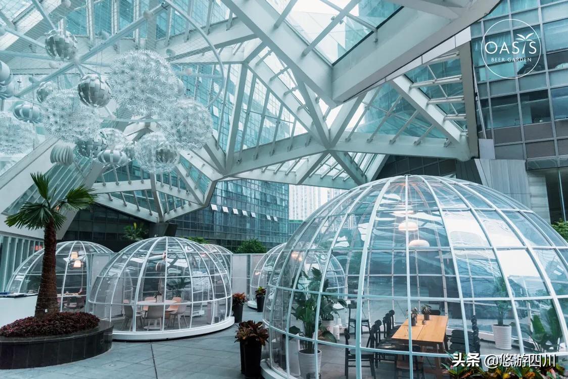 theoasis是哪部动漫的主题曲,theoasis日照