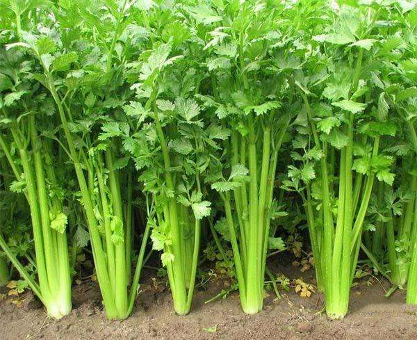 长期失眠最痛苦的方法,区分短期失眠与慢性失眠时间