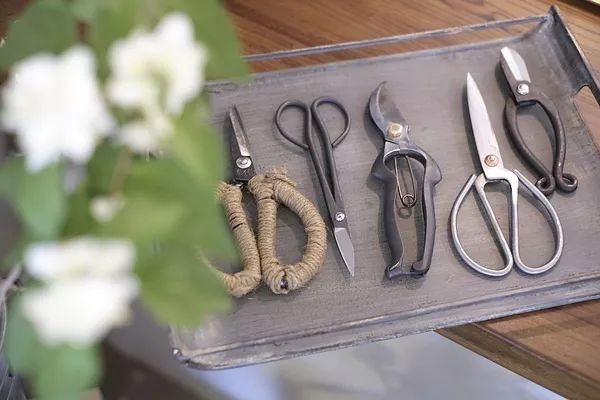 她辞去总监回家扶贫后续,她辞去总监回家扶贫结局