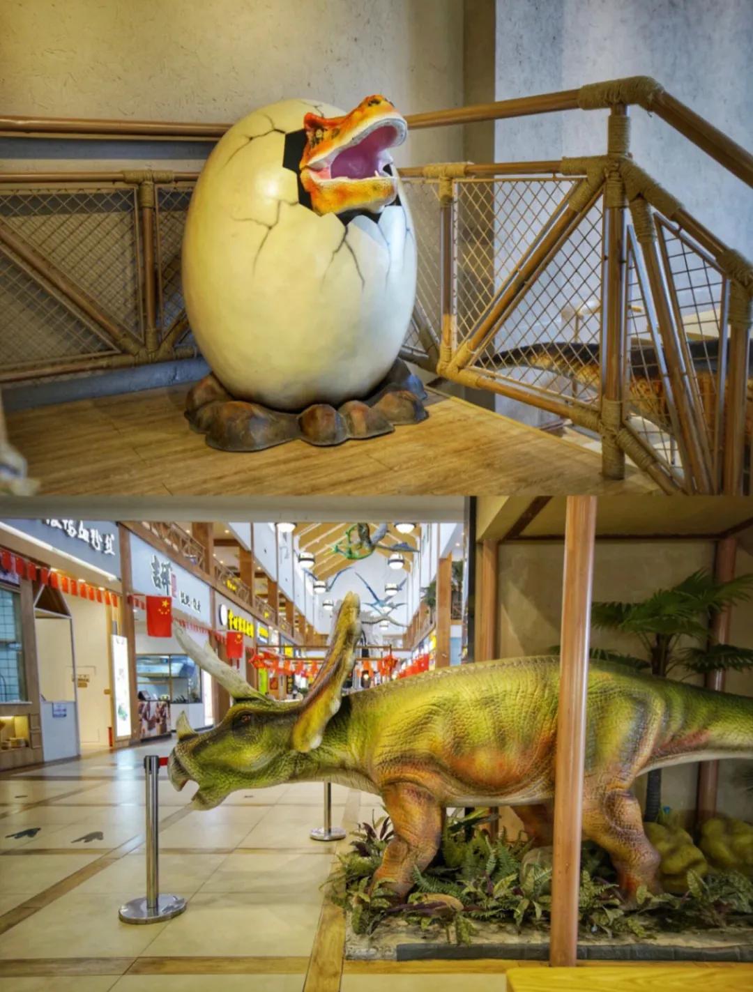 为什么江苏人爱去高速服务区旅游