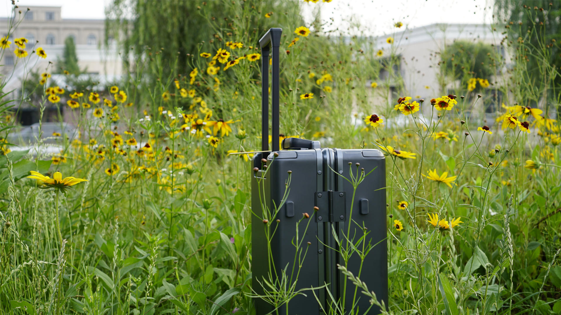 地平线8号20寸和24寸拉杆箱对比,地平线8号拉杆箱28寸哪个颜色好