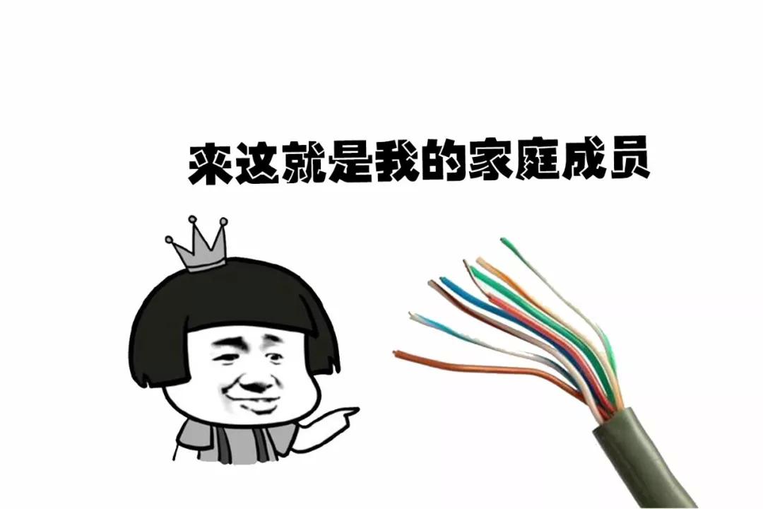 巴黎圣母院两个塔坍塌,一场大火毁了巴黎圣母院