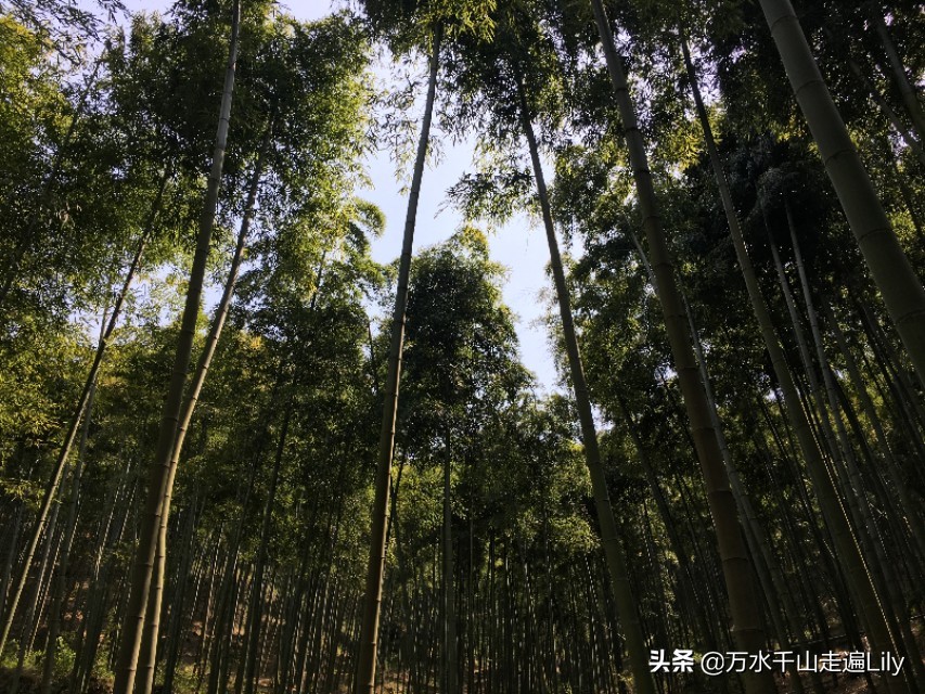 浙江湖州避暑度假村别墅,浙江湖州避暑胜地