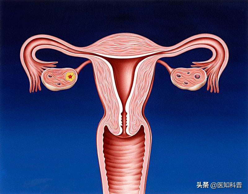 坐月子期间怎样知道身体恢复正常,产后身体的变化科普