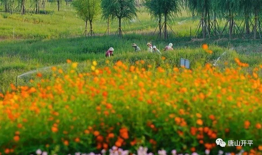 开平的美惊艳了时光,一起去感受开平的魅力