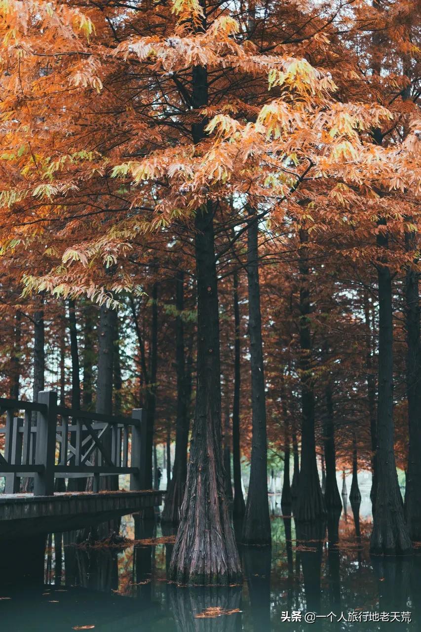 江苏这个“快乐”的城市,颜值不输苏杭,连苏东坡都在这养老