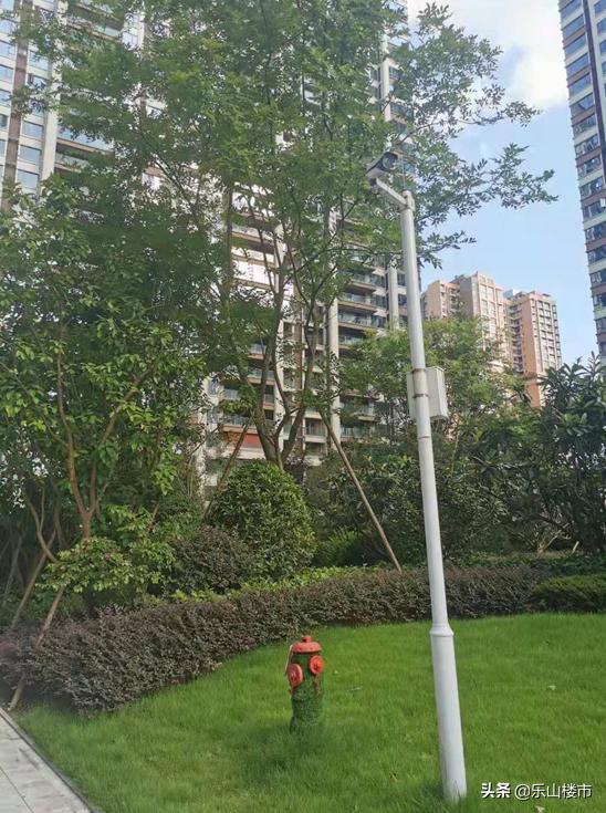 乐山领地兰台府最新价格,乐山领地兰台府房价降了么