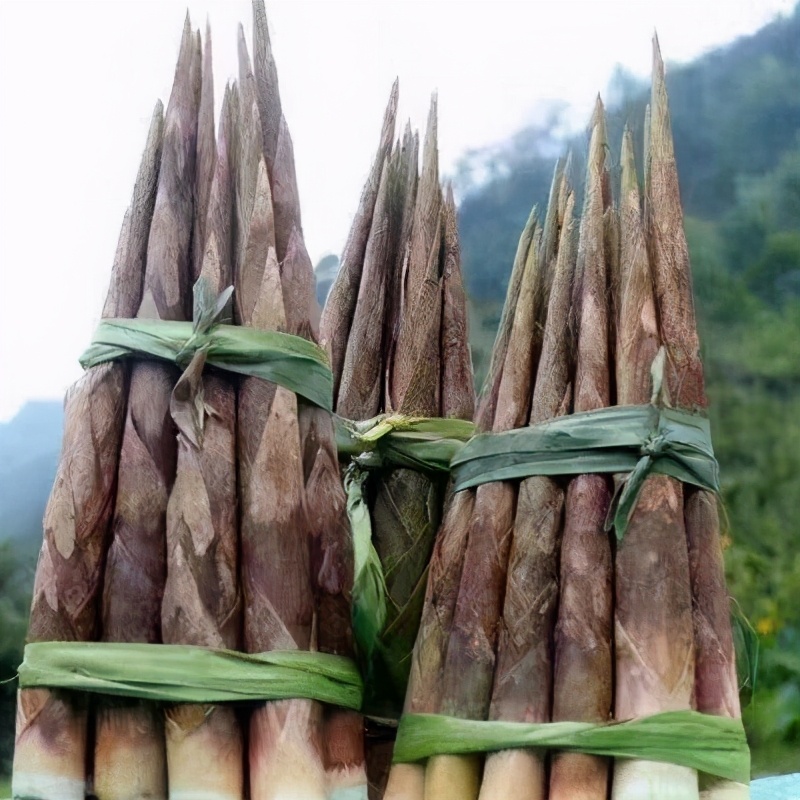 崇州文化底蕴及旅游特色,崇州市有特色的古城