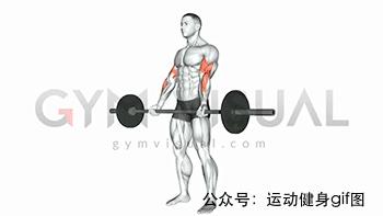 100张肌肉分解图,手臂肌肉的爆发力怎么练